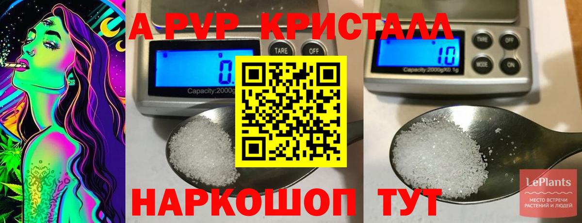 Alpha-PVP СК КРИС Нальчик
