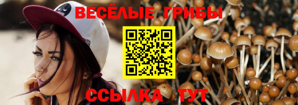 Псилоцибиновые грибы GOLDEN TEACHER Нальчик